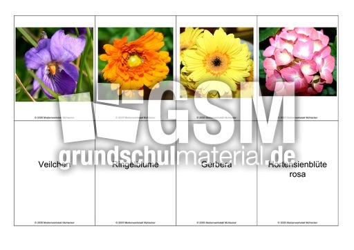 Blumen-Memo-Aufdeckspiel-11.pdf